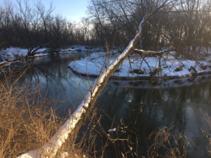 The South Fork Iowa River, flowing through the Gilberts' woodlands.