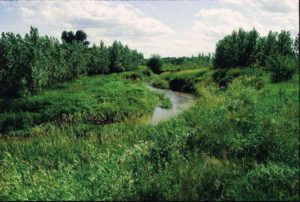 Photo by Lynn Betts, USDA Natural Resources Conservation Service. (1999)