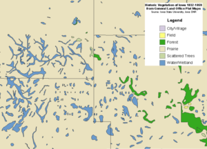 Historic vegetation in northwest Iowa.