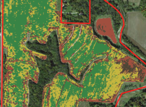 Yield monitor maps reveal less profitable areas to convert to native ecosystems.