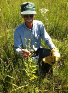 Author and naturalist Carl Kurtz identifies a rare Hill's Thistle in a remnant prairie in Story County, Iowa.