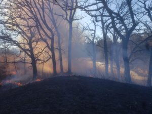 Spring prescribed fire