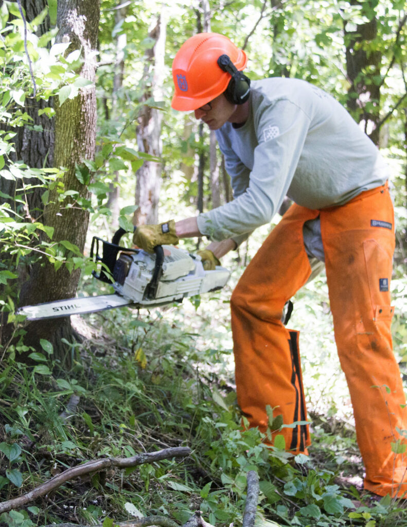chainsawmedium-e1527636436923